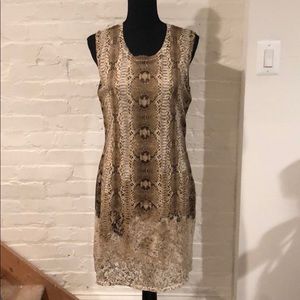 On-Trend Magashoni Knit Dress